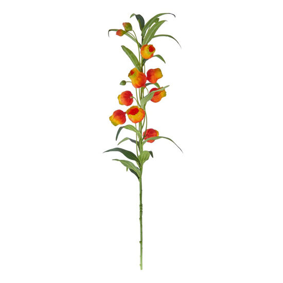 Изображение Сандерсония искусственная FLORISTA O:15 см. H:8 см. L:69 см. 10230264