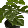 Изображение Монстера искусственная в горшке FLORISTA 20х20х20 см. O:20 см. H:20 см. L:20 см. 10230396