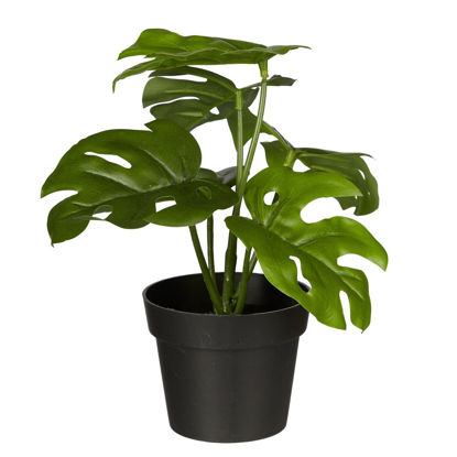 Изображение Монстера искусственная в горшке FLORISTA 20х20х20 см. O:20 см. H:20 см. L:20 см. 10230396