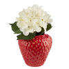 Изображение Ваза STRAWBERRY O:23 см. H:27 см. L:24 см. 10230423
