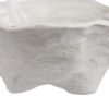 Зображення Блюдо декоративне OYSTER 16х24 см. O:16 см. H:6 см. L:24 см. 10230487