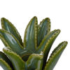 Зображення Підсвічник ALOE 14х12х11 см. O:13.5 см. H:10.5 см. 10230544