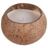 Изображение Свечка ароматизированная COCONUT O:11 см. H:8 см. L:11 см. 10230699