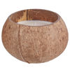 Изображение Свечка ароматизированная COCONUT O:11 см. H:8 см. L:11 см. 10230699