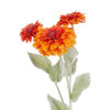 Изображение Хризантема искусственная FLORISTA O:22 см. H:9 см. L:50 см. 10230850