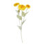 Зображення Астра штучна FLORISTA O:22 см. H:9 см. L:50 см. 10230851