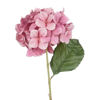 Изображение Гортензия искусственная FLORISTA O:22 см. H:15 см. L:70 см. 10230854